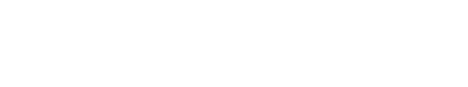 Holey Moley brand logo